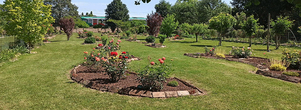 Giardini-Segreti-Geometrie-Fiorite-00
