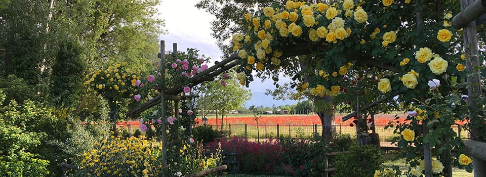 Giardini-Segreti-Parco-Orto-De-Faentin-0