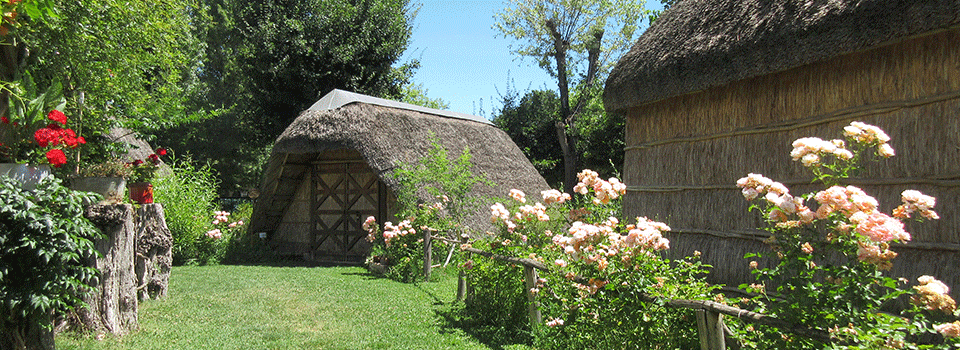 Giardini-Segreti-ecomuseo-delle-erbe-palustri-00