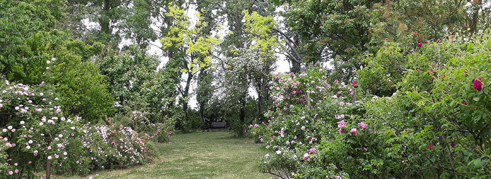 Giardini-Segreti-il-giardino-di-ines-e-lelio-00