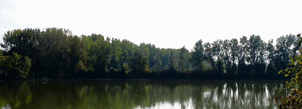 Giardini-Segreti-riserva-naturale-stazione-1-ex-fornace-violani-00