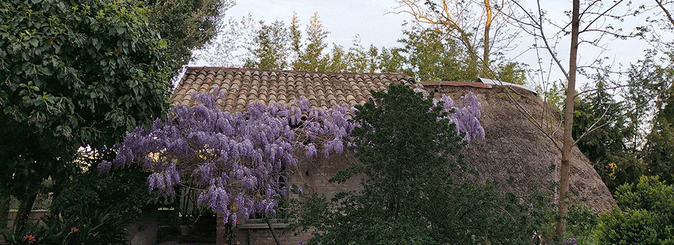 Giardini-Segreti-Giardino-del-capanno-n8-00a