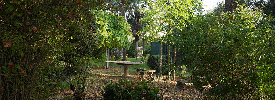 Giardini-Segreti-il-giardino-di-morigi-giovanna-00
