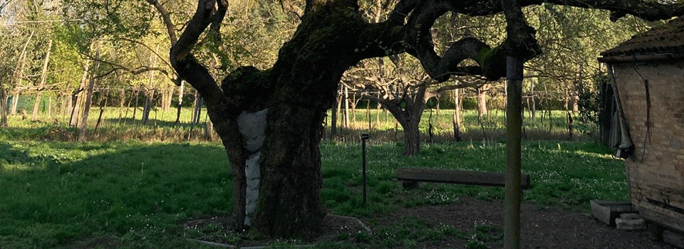 Giardini-Segreti-Albero-dei-Briganti-00