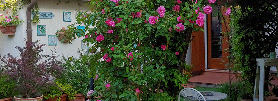 Giardini-Segreti-Giardino-di-Roberta-Barlati-00