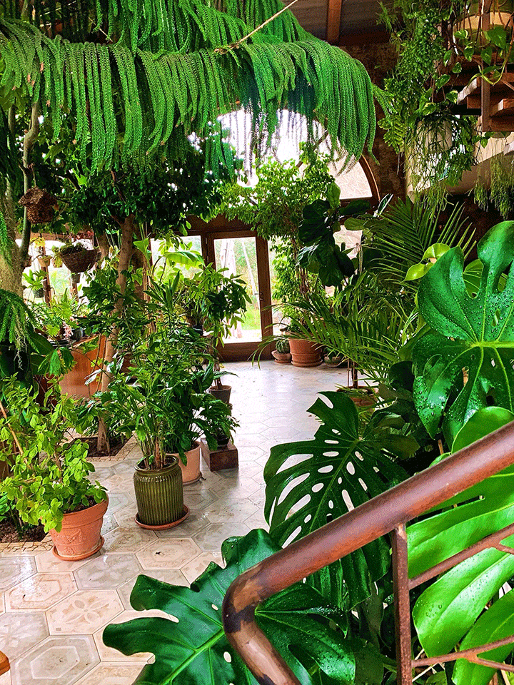 Giardini-Segreti-il-giardino-di-Marzio-Antolini-5v