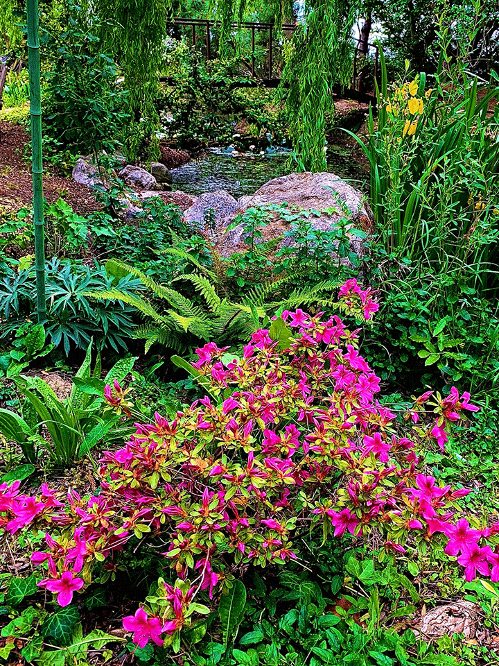 Giardini-Segreti-il-giardino-di-Marzio-Antolini-6v