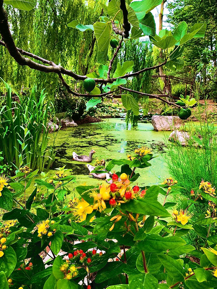 Giardini-Segreti-il-giardino-di-Marzio-Antolini-7v