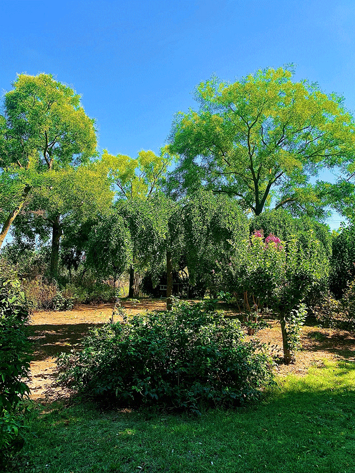 Giardini-Segreti-il-giardino-di-Marzio-Antolini-9v